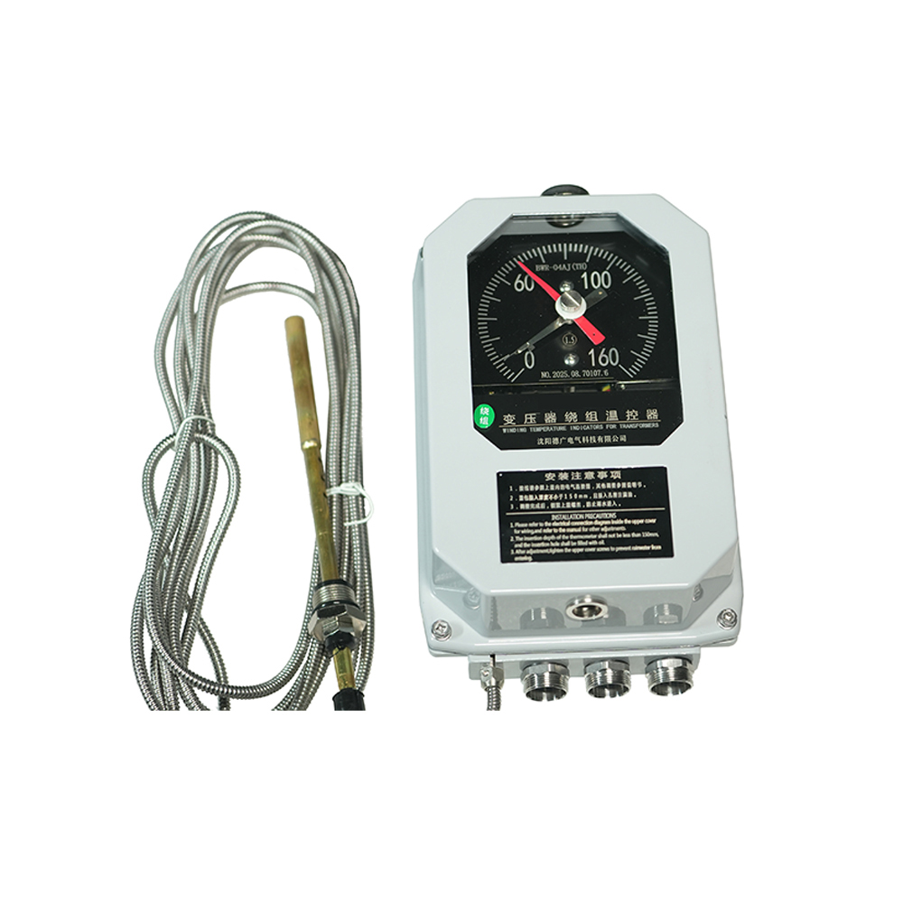 BWR系列绕组温控器